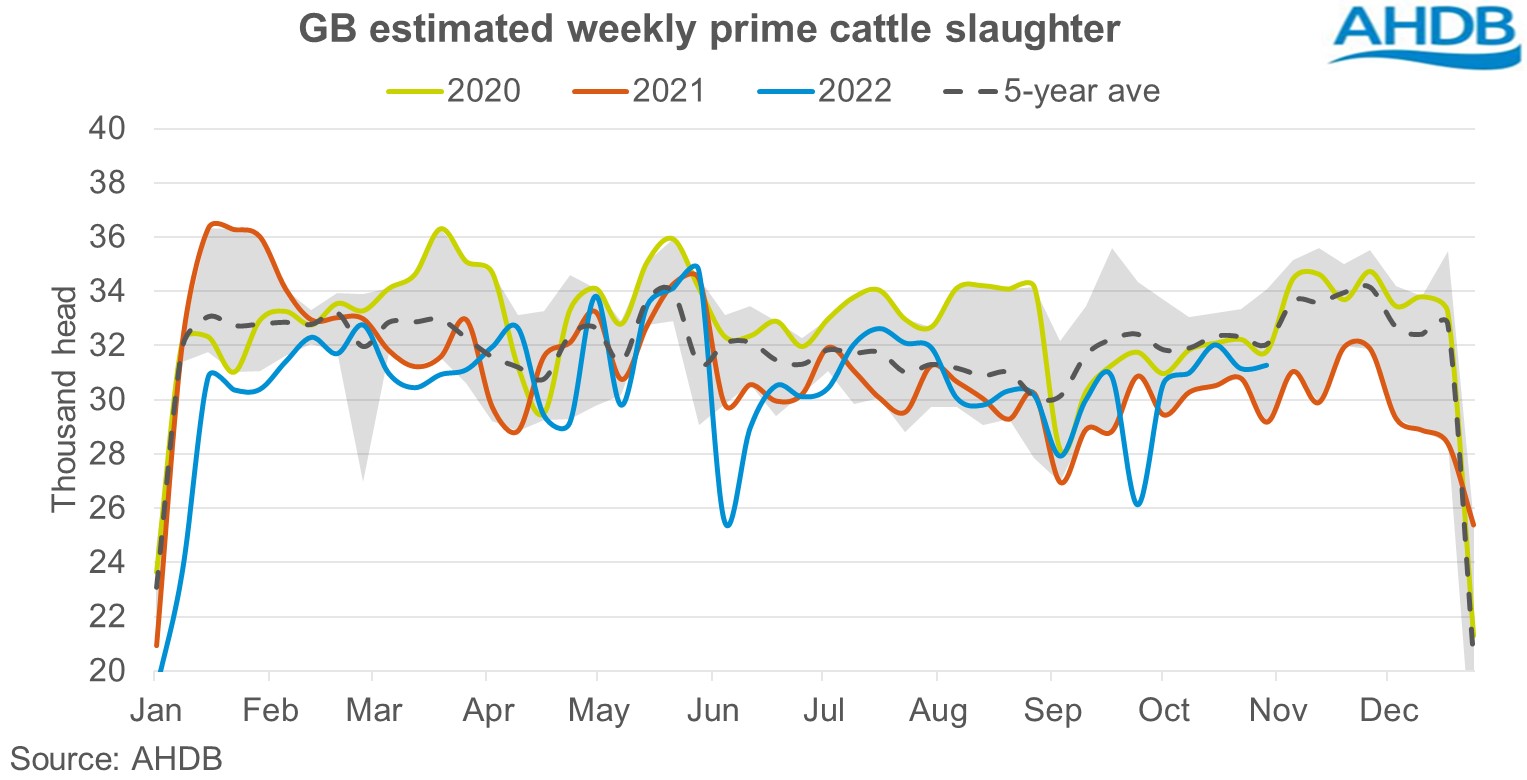 Graph of estimated weekly prime cattle slaughter